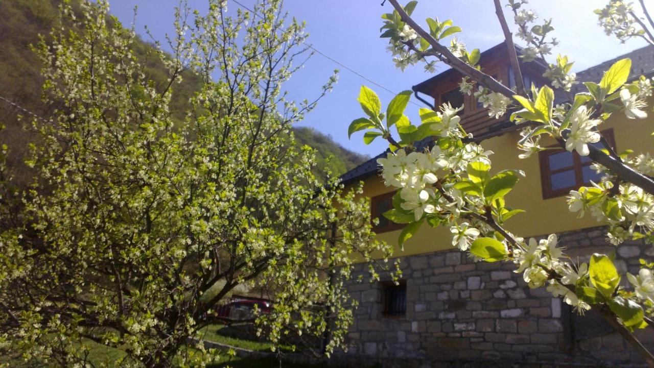 Guest House - Stari Javor B&B Prozor ภายนอก รูปภาพ